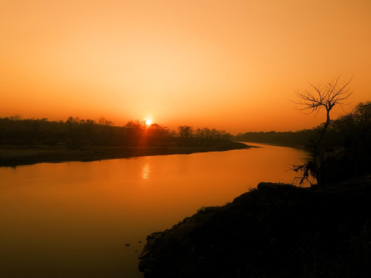 River Park Retreat Sauraha Dış mekan fotoğraf